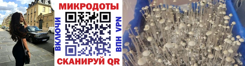 Галлюциногенные грибы MAGIC MUSHROOMS Луга