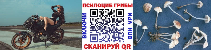 Галлюциногенные грибы Magic Shrooms  Луга 